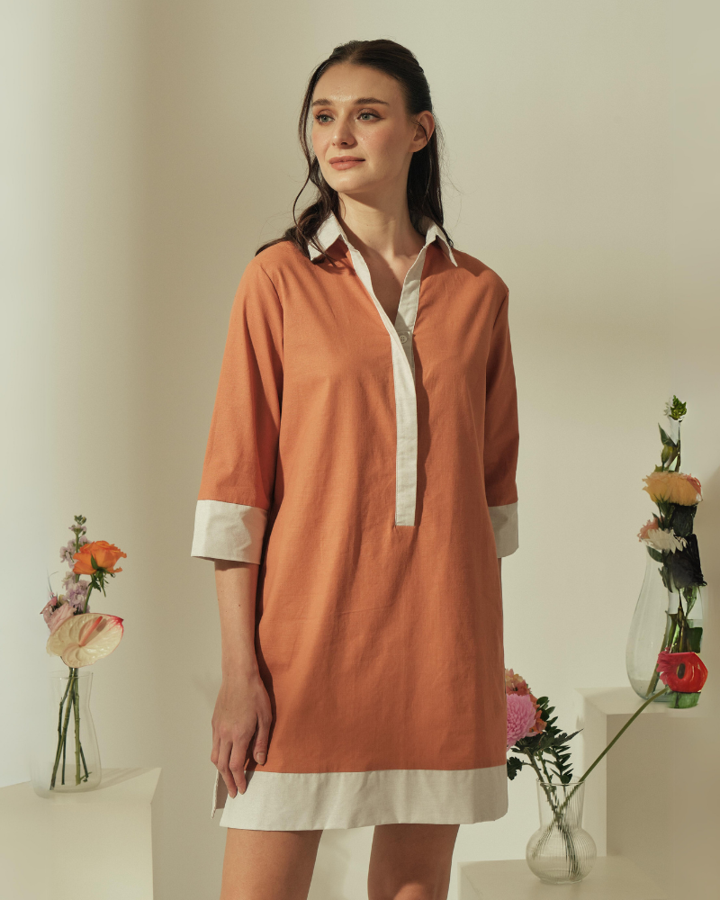 Dominique Two-toned Tunic Dress