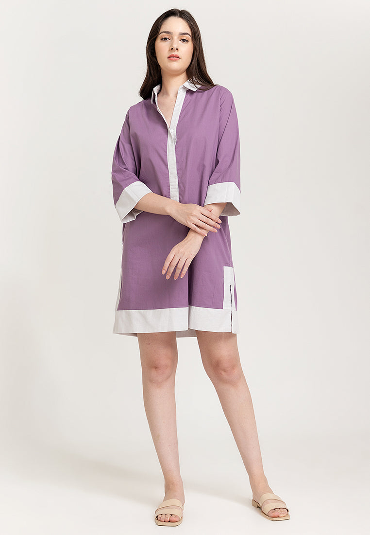 Dominique Two-toned Tunic Dress