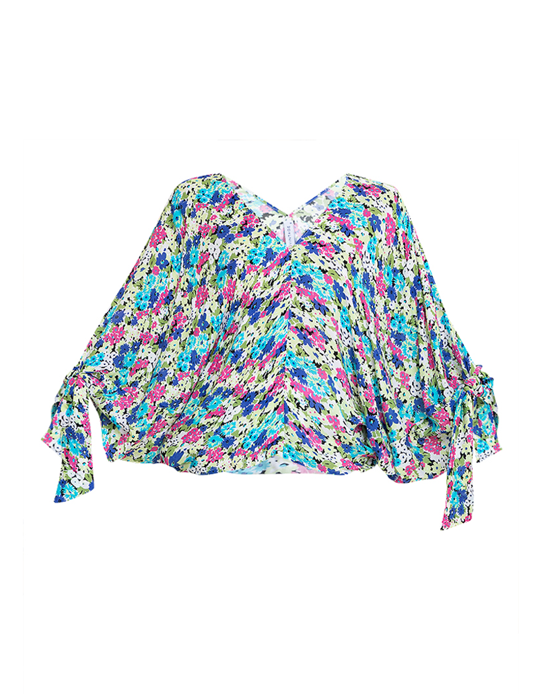 Emilia Chiffon V-Neckline Top