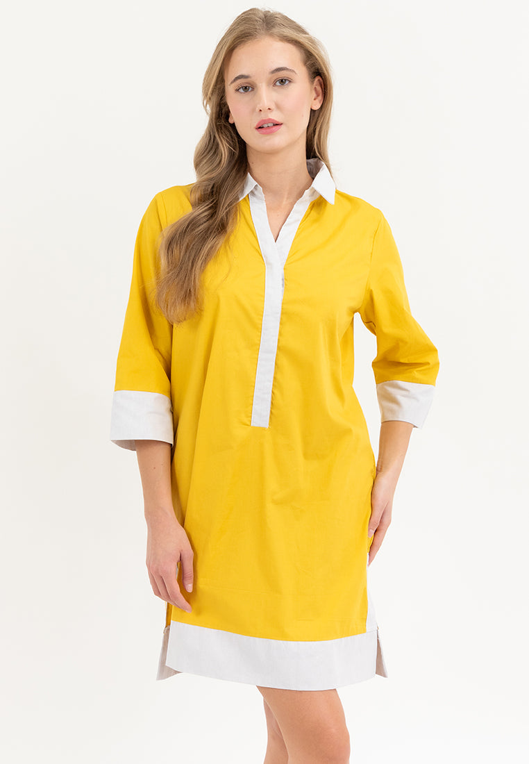 Dominique Two-toned Tunic Dress