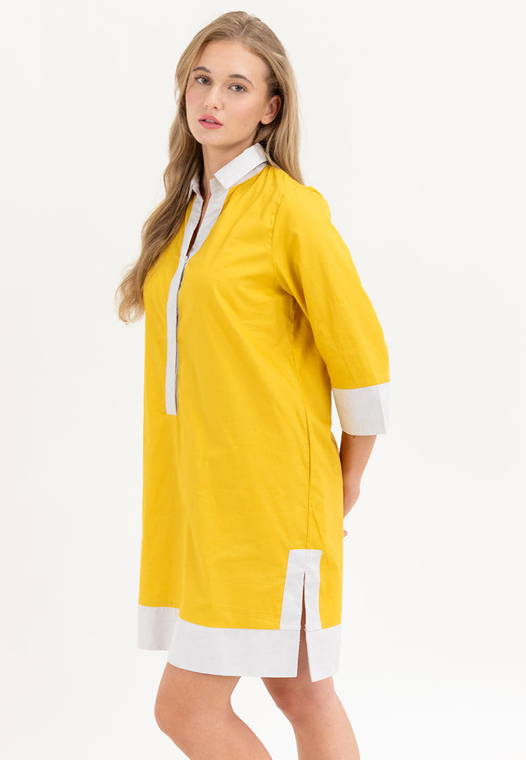 Dominique Two-toned Tunic Dress