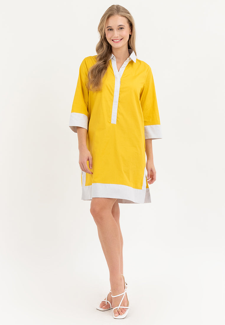 Dominique Two-toned Tunic Dress